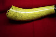 WilliamHigbieHorn_1316.JPG